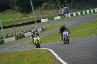 Advanced Group White Bikes